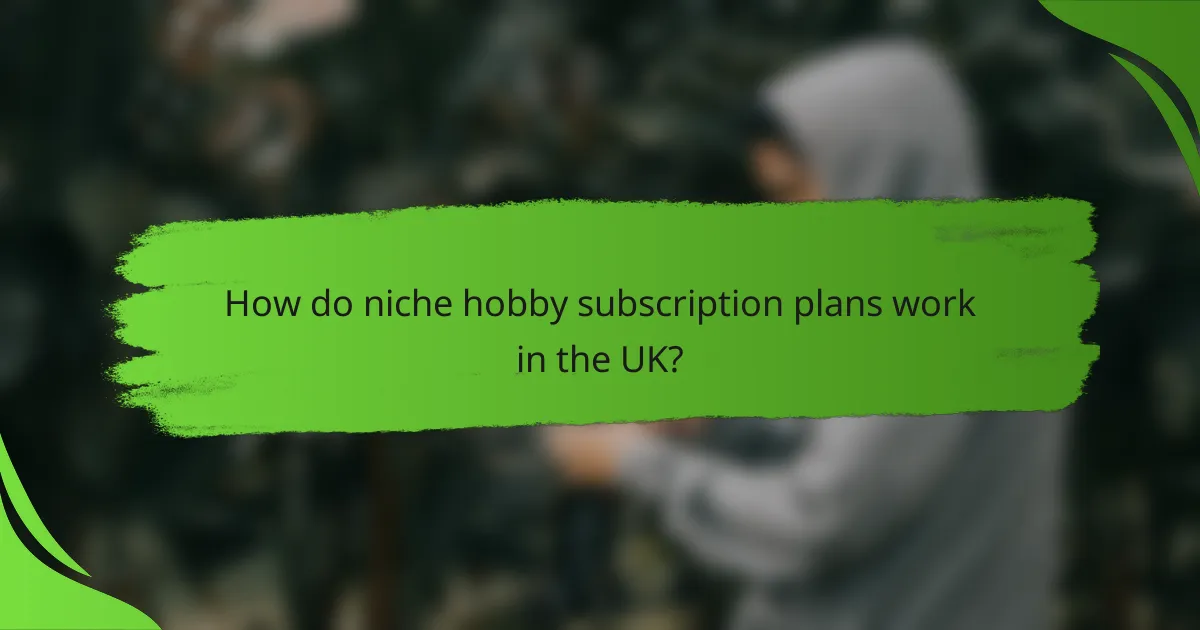 How do niche hobby subscription plans work in the UK?