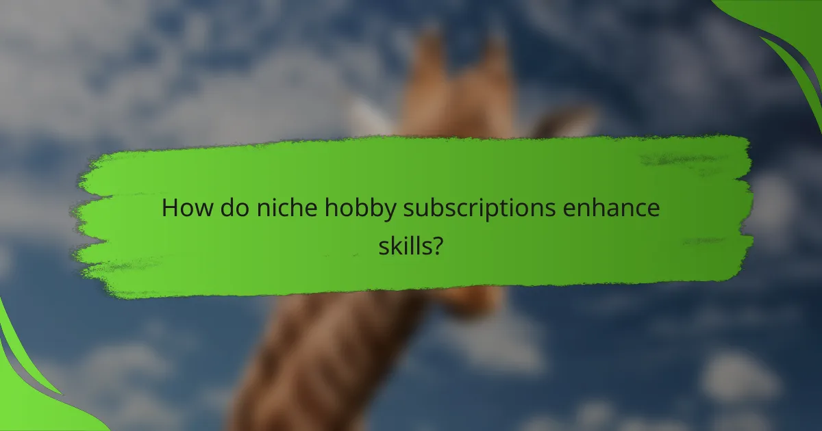 How do niche hobby subscriptions enhance skills?