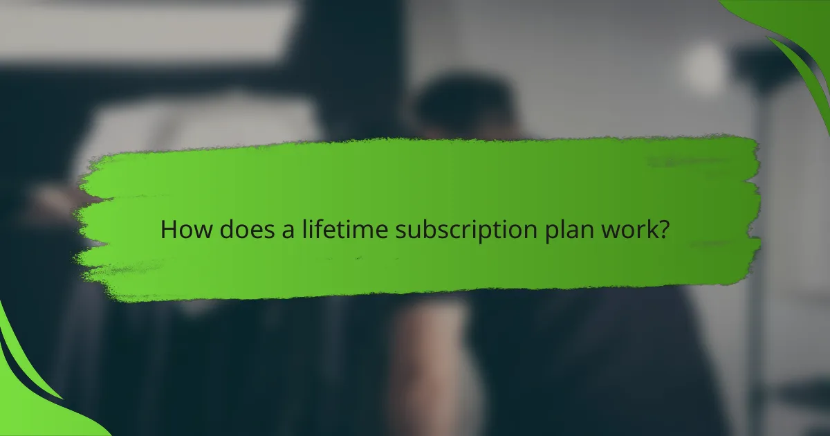 How does a lifetime subscription plan work?