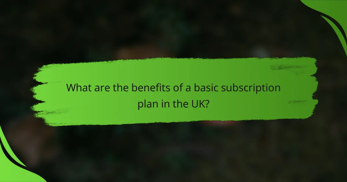 What are the benefits of a basic subscription plan in the UK?