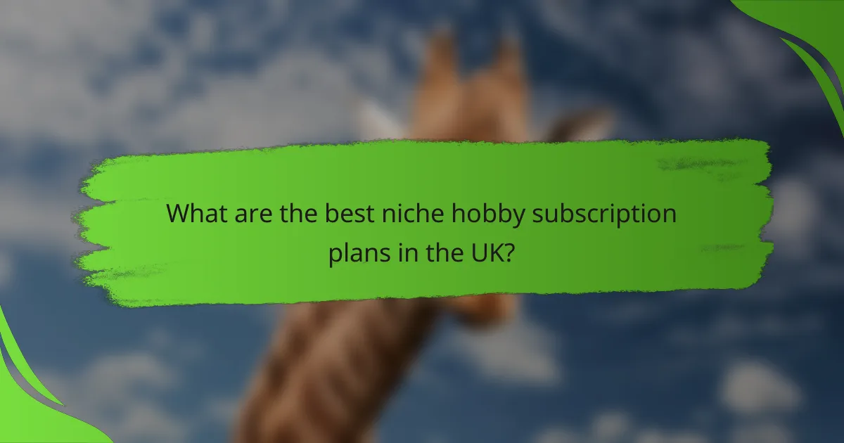 What are the best niche hobby subscription plans in the UK?
