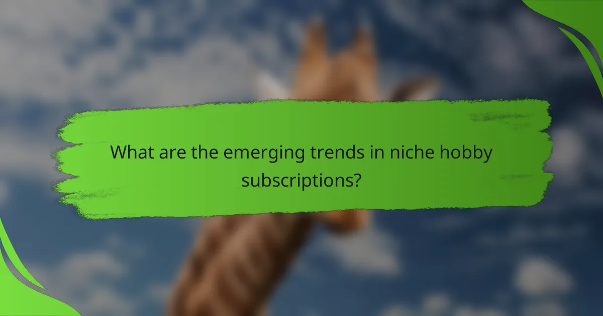 What are the emerging trends in niche hobby subscriptions?