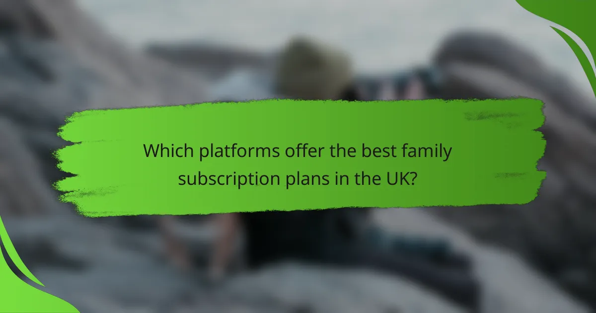 Which platforms offer the best family subscription plans in the UK?